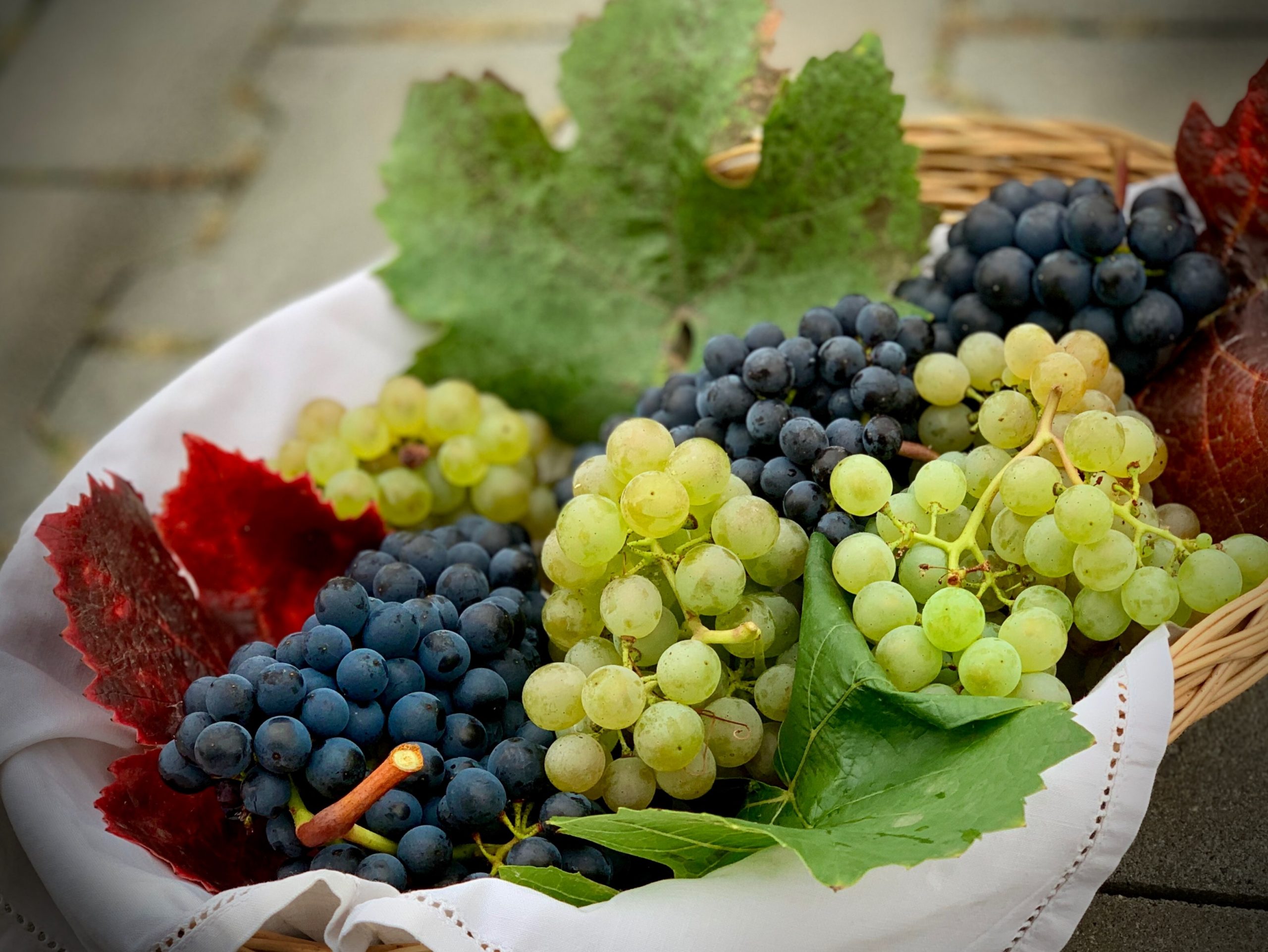 various types of grapes