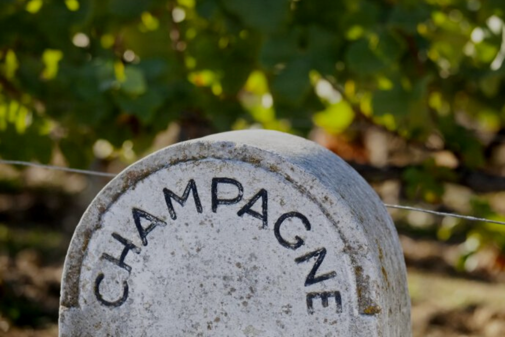 Image of marking stone with Champagne written along the top within a vineyard